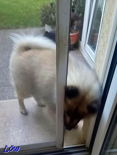 21.6.2025 - 22.6.2025 - Dwix will rein